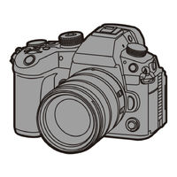 Panasonic Lumix DC-GH6 Instrucciones